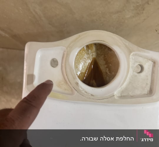 אצבע מצביעה על חלקים פנימיים של אסלה
